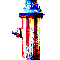 Buy canvas prints of                                NYC Hydrant by Georgie Lilly