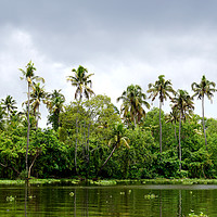 Buy canvas prints of Backwaters by Georgie Lilly