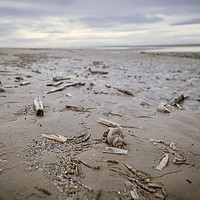 Buy canvas prints of Formby Point Beach by Jon Lingwood