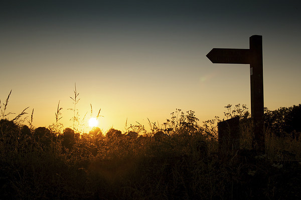 Lincolnshire sign post at sunset Picture Board by Ray Nelson