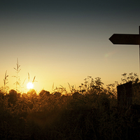 Buy canvas prints of Lincolnshire sign post at sunset by Ray Nelson