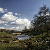 Buy canvas prints of Yorkshire Dales View by Ray Nelson