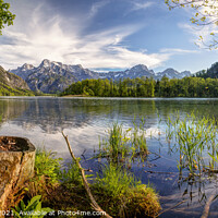 Buy canvas prints of Early summer at the Almsee by Silvio Schoisswohl