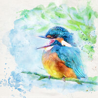 Buy canvas prints of Happy kingfisher by Silvio Schoisswohl
