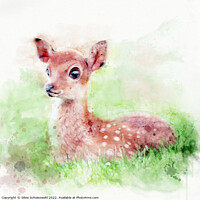 Buy canvas prints of Fawn by Silvio Schoisswohl