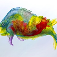 Buy canvas prints of bullfish by Silvio Schoisswohl