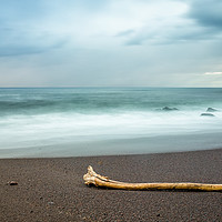 Buy canvas prints of drift wood by Silvio Schoisswohl
