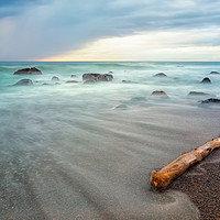 Buy canvas prints of the drift wood by Silvio Schoisswohl