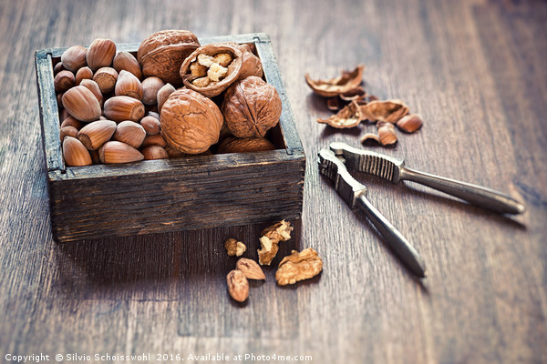 Nuts Picture Board by Silvio Schoisswohl