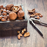 Buy canvas prints of Nuts by Silvio Schoisswohl
