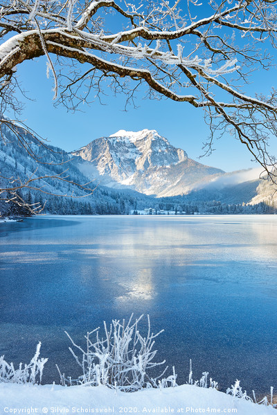 langbathsee in winter mood Picture Board by Silvio Schoisswohl
