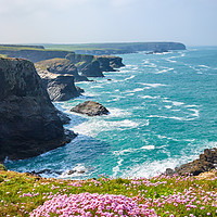 Buy canvas prints of Spring on Cornwall's coast by Silvio Schoisswohl