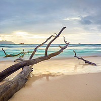 Buy canvas prints of seychelles lost in time by Silvio Schoisswohl