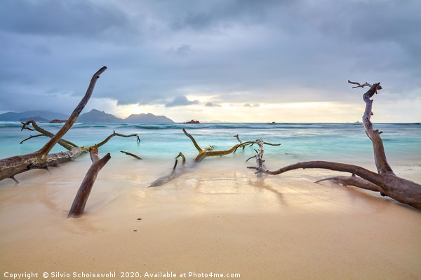 Clouds over a natural sandy beach on La Digue Picture Board by Silvio Schoisswohl