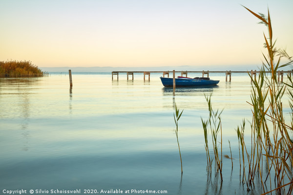 Calm Lake  Picture Board by Silvio Schoisswohl