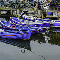 Buy canvas prints of Four Tethered Boats, Whitby by Frank Etchells