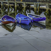 Buy canvas prints of Three Tethered Boats, Whitby. by Frank Etchells