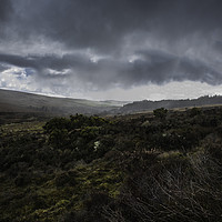 Buy canvas prints of Incoming February Rain 02 by Frank Etchells