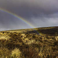 Buy canvas prints of Dartmoor Rainbow 1 by Frank Etchells