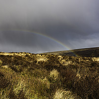 Buy canvas prints of Dartmoor Rainbow 2 by Frank Etchells