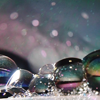 Buy canvas prints of  Bubble Beauty by Hayley Dew