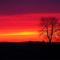 Buy canvas prints of Glowing sunrise by paul wheatley