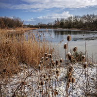 Buy canvas prints of Frozen Serenity by P D