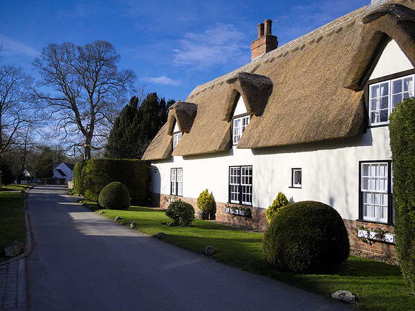 Charming Thatched Cottage in North East Lincs Picture Board by P D