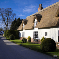 Buy canvas prints of Charming Thatched Cottage in North East Lincs by P D