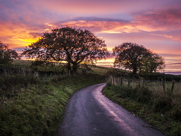 Majestic Sunrise over the Welsh Countryside Picture Board by P D