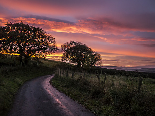 Majestic Sunrise Over Welsh Countryside Picture Board by P D