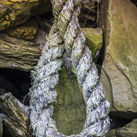 Buy canvas prints of The Lonely Hemp Stranded on the Rocks by P D