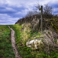 Buy canvas prints of Serene Countryside Path by P D