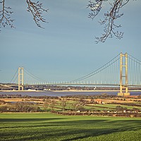 Buy canvas prints of Majestic Humber Bridge Emerging from Nature by P D