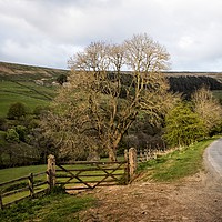 Buy canvas prints of Majestic Nidderdale Scenery by P D