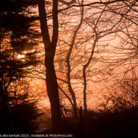 Buy canvas prints of Winter sun lighting up the fog and silhouetting tr by Christine Kerioak