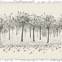 Buy canvas prints of Stand of Trees by Christine Kerioak