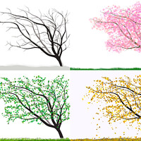 Buy canvas prints of Tree in All Seasons by Christine Kerioak