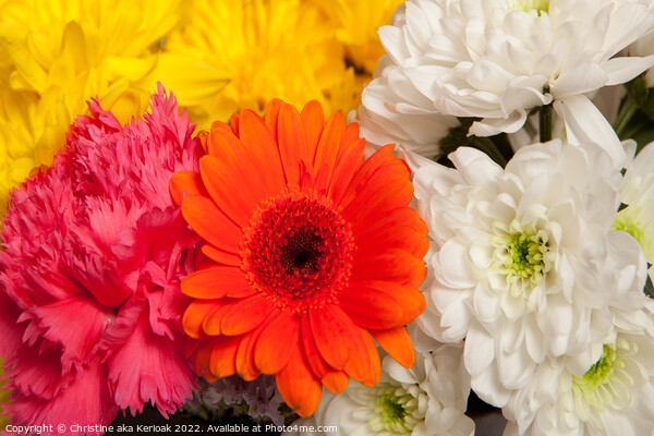 Colourful flowers close-up Picture Board by Christine Kerioak