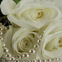 Buy canvas prints of Roses and Pearls by Christine Kerioak