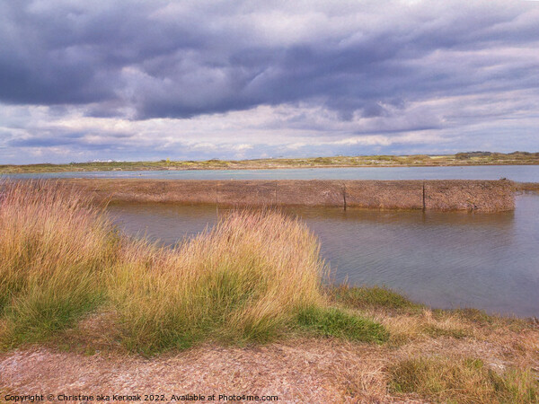 Rye Harbour, River Rother Picture Board by Christine Kerioak