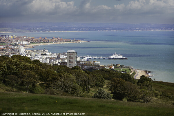 View over Eastbourne from Beachy Head Picture Board by Christine Kerioak