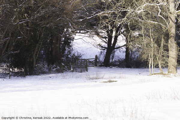 Snowy Fields Edge Picture Board by Christine Kerioak
