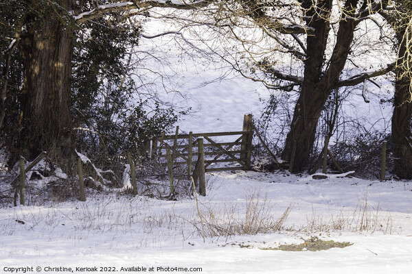 Gate at the Bottom of Snow Covered Fields Picture Board by Christine Kerioak
