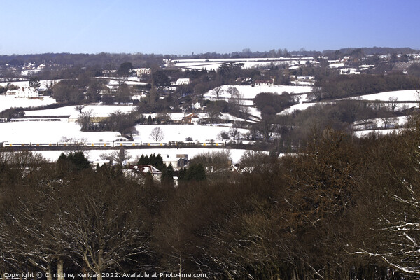Sussex Countryside under Snow Picture Board by Christine Kerioak