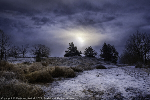 Cold Winter Dawn Picture Board by Christine Kerioak