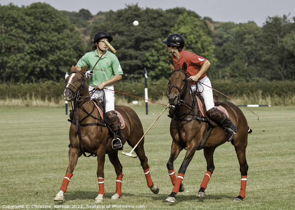 Polo High Ball Picture Board by Christine Kerioak
