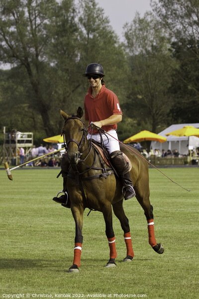 Horse and Happy Rider During Polo Match Picture Board by Christine Kerioak