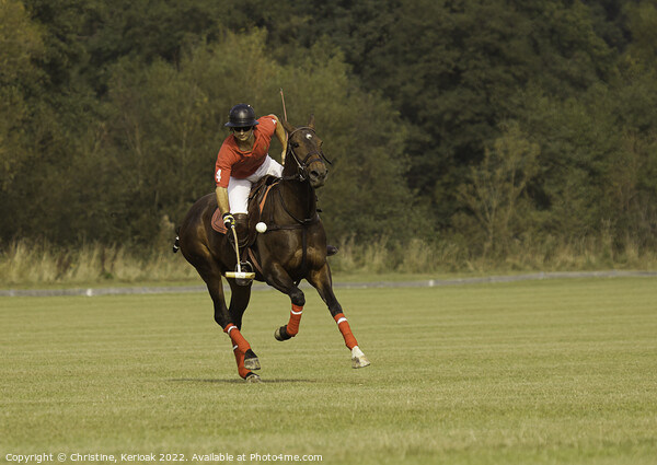 Polo Player Going For The Ball Picture Board by Christine Kerioak