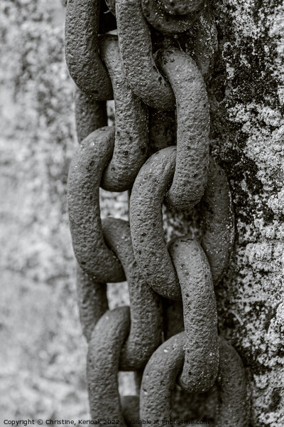 Large Chain Hanging from Wall monochrome Picture Board by Christine Kerioak